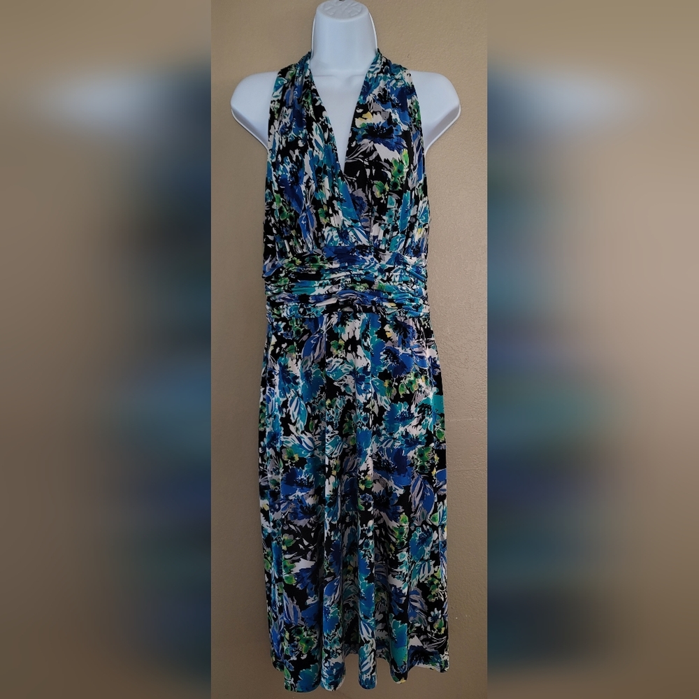 Evan-Picone Women's Multicolor Polyester V-Neck Sleeveless Knee Length Dress 10